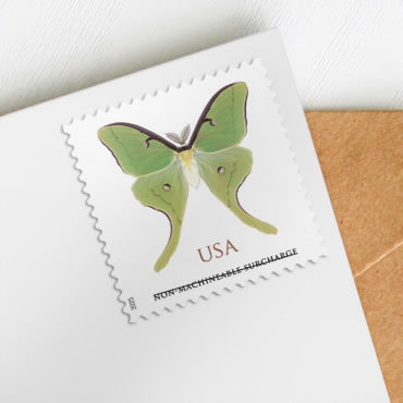 NOT Forever Stamp-Non-Machinable $1.29 Stamps 2025 Luna Moth – Nature Series, First-Class Rate