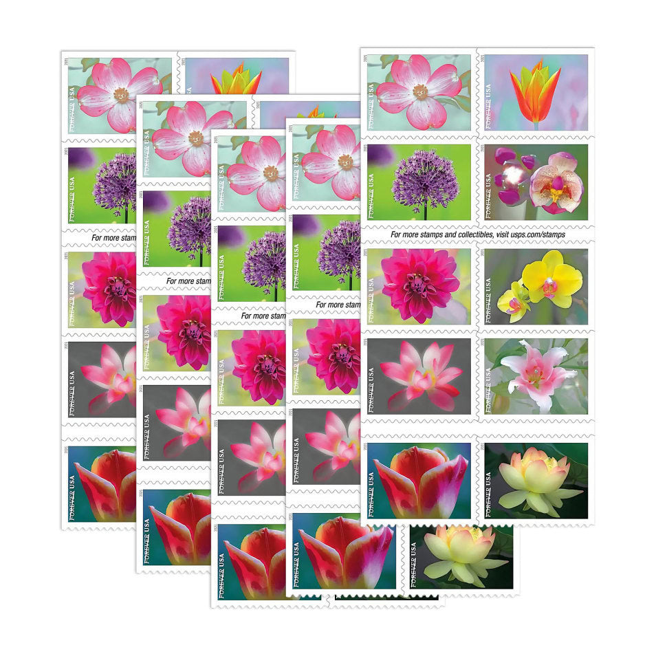 Buy More, More Discounts: $888 Get 6000 Forever Stamps