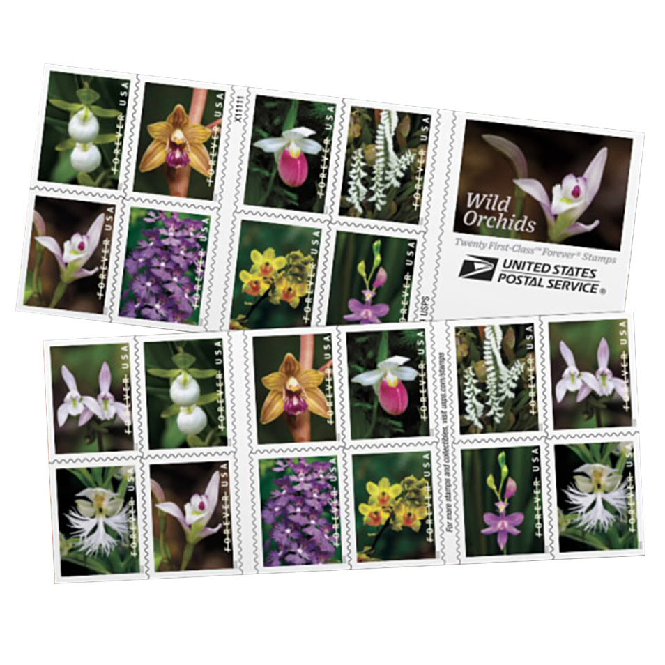 All Time Low (Price): $1200 Get 10000 Forever Stamps, More Than 100 Styles to Choose