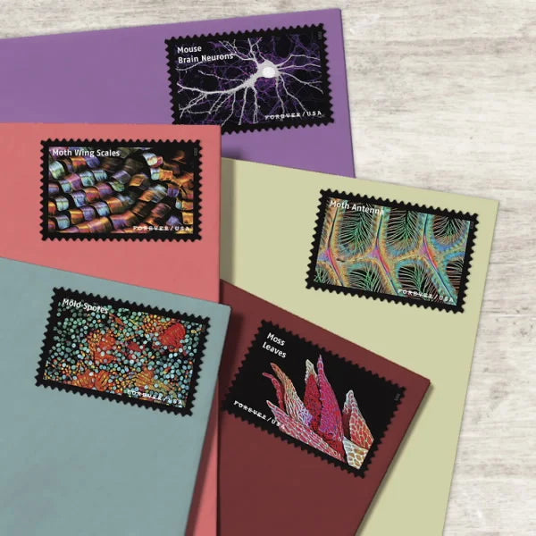 Forever Stamps 2023 Life Magnified – Freshwater Protozoans, First-Class Postage