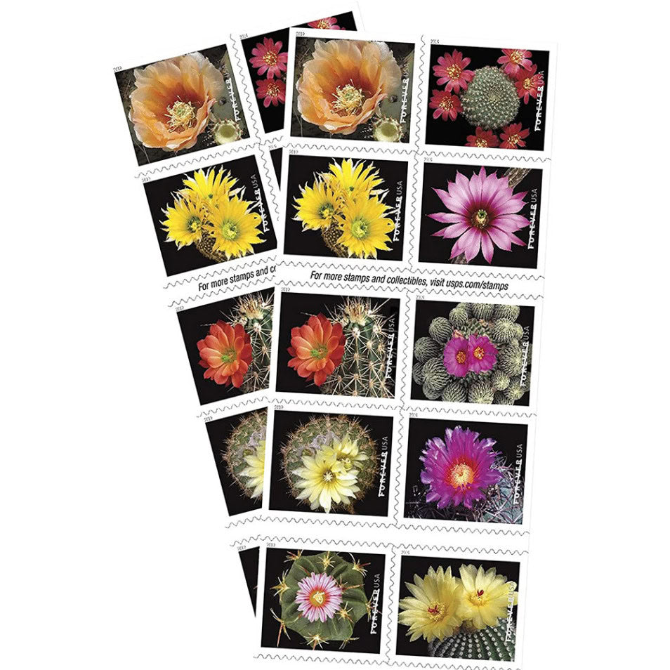 All Time Low (Price): $1200 Get 10000 Forever Stamps, More Than 100 Styles to Choose