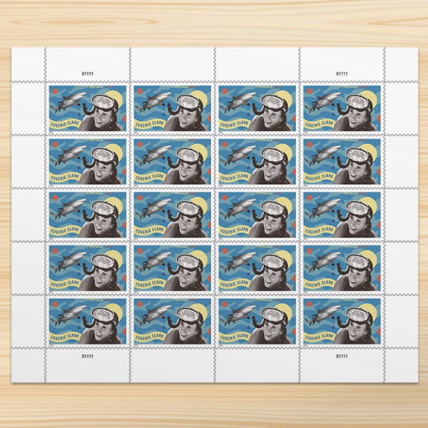 $489 Get 3000 Forever Stamps, 100+ Styles Available
