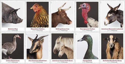 Forever Stamps 2021 Heritage Breeds – Nature Series, First-Class Postage