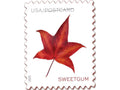 Postcard Rate Stamps 2025 Autumn Leaves – Nature Series, First-Class Rate