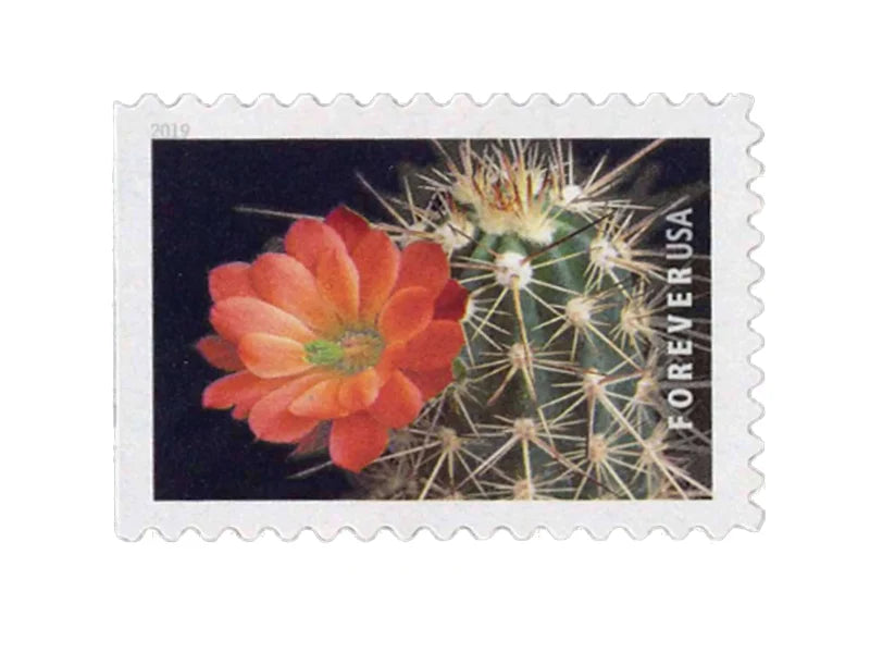 Forever Stamps 2019 Cactus Flowers – Nature Series, First-Class Postage