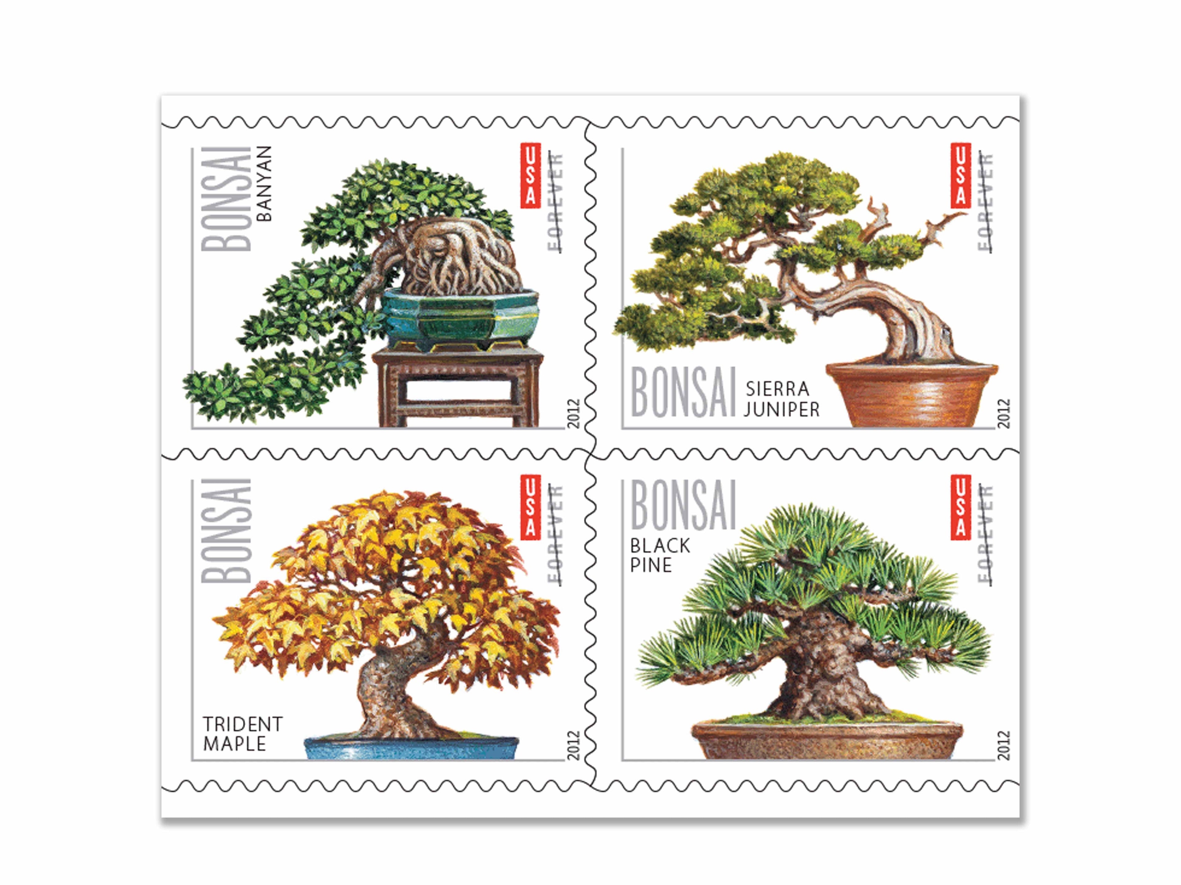 Forever Stamps 2012 Bonsai Trees – Cultural Heritage Collection, First-Class Postage