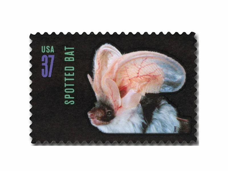 NOT Forever Stamp-37¢ Stamps 2002 Night Friends American Bats – Nature Series, First-Class Postage