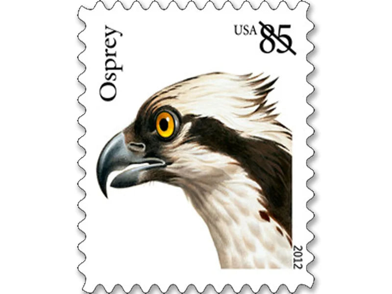 NOT Forever Stamp-First Class Stamps 2012 Osprey – Nature Series, 85¢ Postage