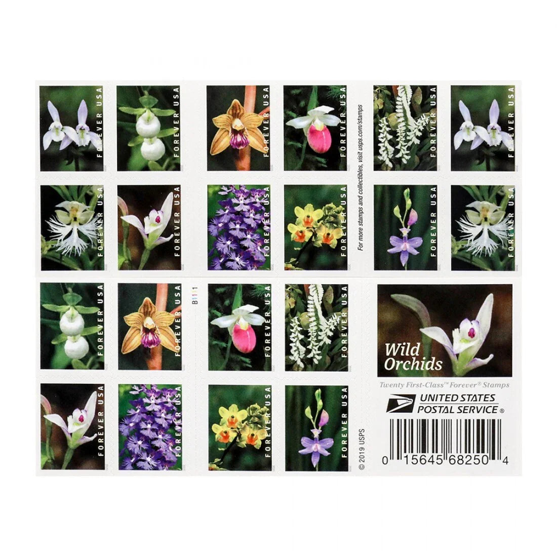 Forever Stamps 2020 Wild Orchids – Nature Series, First-Class Postage