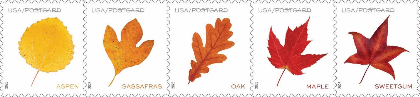 Postcard Rate Stamps 2025 Autumn Leaves – Nature Series, First-Class Rate